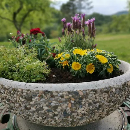 Losc - Podbela Апартаменты Breginj