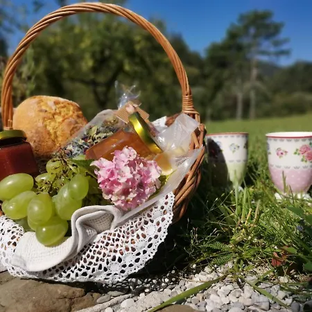 Losc - Podbela Апартаменты