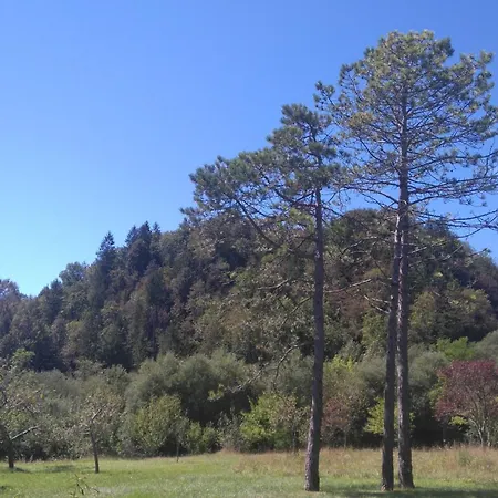 Losc - Podbela * Breginj