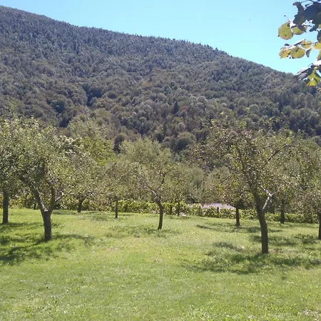 Losc - Podbela Διαμέρισμα Breginj
