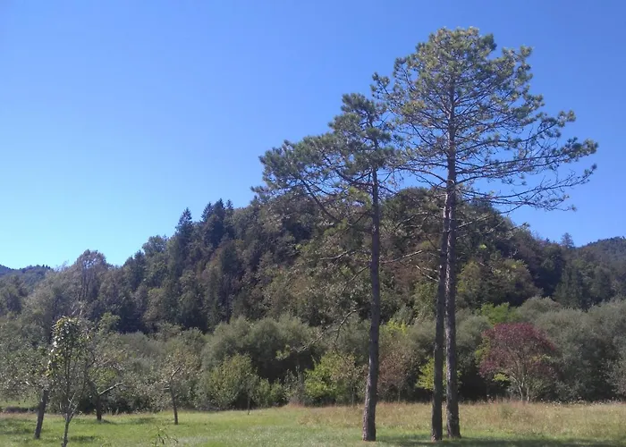 Losc - Podbela * Breginj