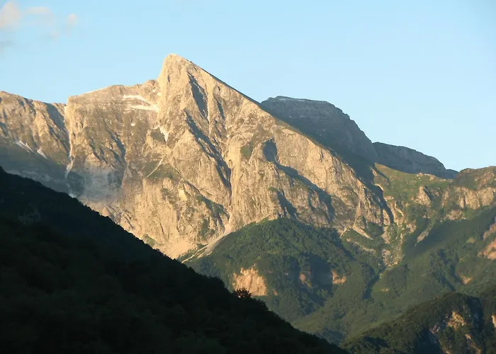 Losc - Podbela דירה