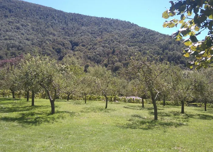 Losc - Podbela Lägenhet Breginj
