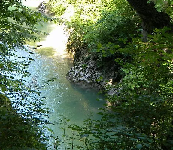 Losc - Podbela דירה *