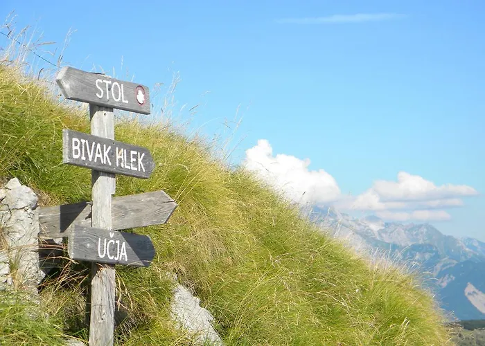 Losc - Podbela Apartment *