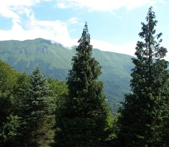Losc - Podbela דירה
