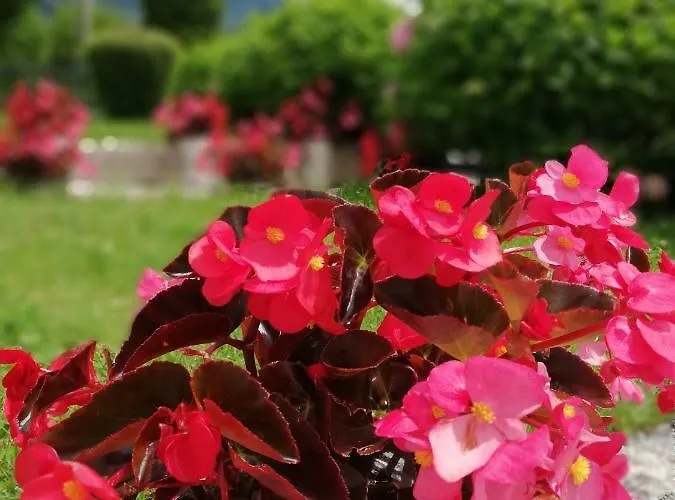 Losc - Podbela Lägenhet